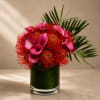 Bold, artistic, and unapologetically luxurious, Crimson Tropique is a striking contemporary floral