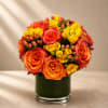 Vibrant, radiant, and full of modern energy, Citrus Ember Luxe is a