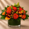 Vibrant, rich, and undeniably sophisticated, Ember Luxe is a bold designer arrangement