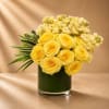 Inspired by golden sunlight and refined botanical luxury, Maison Solara is a