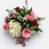 Soft pink gerbera daisies and fluffy white hydrangeas set a gentle, romantic
