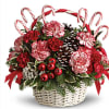 Basket arrangement with red and white carnations, candy canes, and pinecones