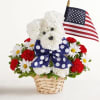 Unleash smiles with our Yankee Doodle Doggie. Crafted from red and white