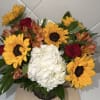 Bursting with the radiant hues of a Monarch in flight, this arrangement