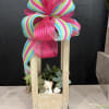 A tall wooden lantern planter filled with glossy, low-maintenance succulents makes a