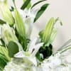 A refined study in purity, our Designer&rsquo;s Choice All‑White Arrangement showcases the