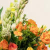 A tall, artfully composed expression of the season, our Designer&rsquo;s Choice Seasonal