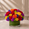 Celebrate love, authenticity, and self-expression with Love in Full Color&trade;, a vibrant