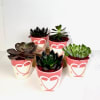 Celebrate with our hand painted ceramic planter featuring a beautiful succulent. Perfectly