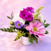 Sweet, cheerful, and full of garden charm, Pocketful of Posies is a