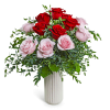 One Dozen Perfect Pink and Red Roses is a romantic arrangement with