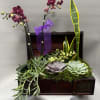Succulent arrangement in a wooden chest with purple orchids and a ribbon