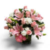 Blush Elegance 