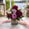 Some flowers make a room prettier. Others make you stop and stare.