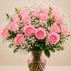 A full dome of soft pink roses framed by airy white baby's