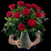 The Red Panther rose is a striking bicolor hybrid tea rose variety