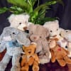 Plush animals