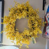 A bright ring of cheerful yellow blooms greets the eye-this permanent botanical