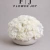 A refined arrangement of white roses and lush hydrangeas, beautifully presented in