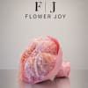 A soft and romantic bouquet of blush-pink hydrangeas accented with delicate cascading