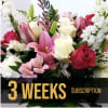 3 WEEK SUBSCRIPTION
$175.00
This is a GREAT deal! You will receive a fresh