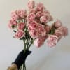 

A fresh bunch of charming spray roses wrapped in simple kraft paper