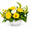 Sunny yellow chrysanthemums and bold gerbera daisies pair with crisp white blooms