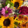 Let our designers create something truly special with a Florist&rsquo;s Choice Vase