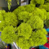 Bright green fluffy flower clusters in a market display
