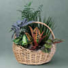 A charming mix of living beauty, thoughtfully gathered in a blonde basket
