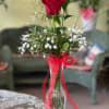 Rose in bud vase