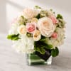 Blush is perfect for any occasion where you want to make someone