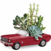Succulents arranged in a red toy car planter