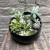 A lovely array of succulents carefully arranged in an elegant ceramic planter