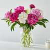 Pink and white peonies in a clear glass vase