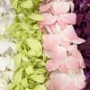 Designer's Choice Lei -- We offer an assortment of different colored lei's