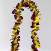 Real Orchids graduation leis, single orchids Yellow/Burgundy!