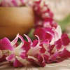 Pink orchid petals arranged around a gold bowl