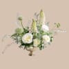 Loose, airy white blooms rise with graceful vertical spires in this white