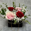 Pink and red roses arranged in a black box with white filler flowers