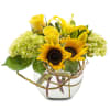 A burst of sunshine in this mix of sunflowers with yellow lilies