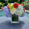 Reds, whites, blue ( and a kiss of green) make this lush