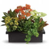 What a magical mix of flowering and green plants! This stylish plant