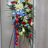 beautiful display of Columbia Blue and red colors 