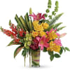 Take a tropical getaway, without ever leaving home! Inspired by the shades