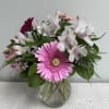 This little arrangement has 3 large gerbera daisies and 2 mini gerbera