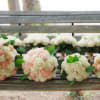 This bouquet is made of wood flowers carved from the stems of
