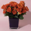 A tightly packed dome of vibrant orange roses creates an immediate, joyful