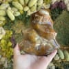 Carnelian Flame