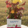 Sun-soaked yellow roses and deep burgundy calla lilies rise above a cheerful